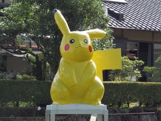 IMGP4973.jpg