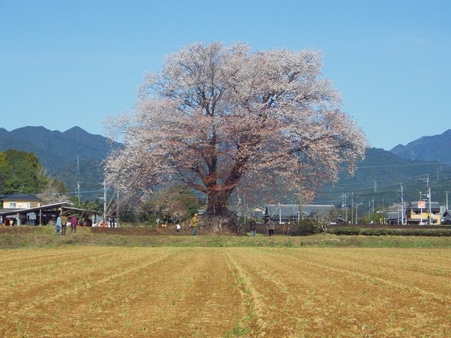 IMGP5492.JPG