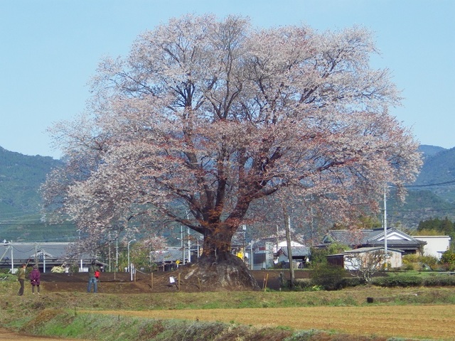 IMGP5496.JPG